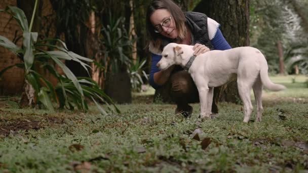 Sakin karışık doğurmak melez köpek kadın onun sahibi tarafından petted — Stok video