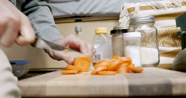 Primer plano de un hombre cortando zanahorias en una tabla de cortar mientras acampaba — Vídeos de Stock
