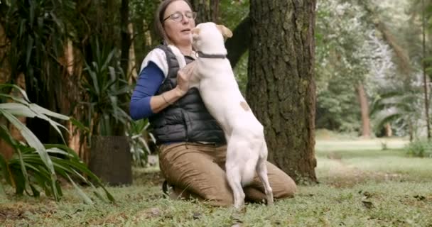Podekscytowany pies twarz jej szczęśliwym posiadaczem kobiet Lizanie — Wideo stockowe
