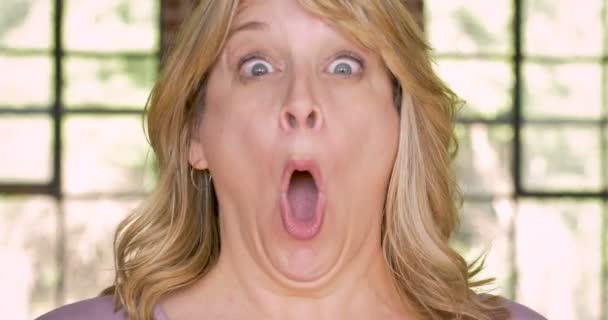 Tushy Lickers Lesbian Pantyhose Ass Licking Her Mouth Video