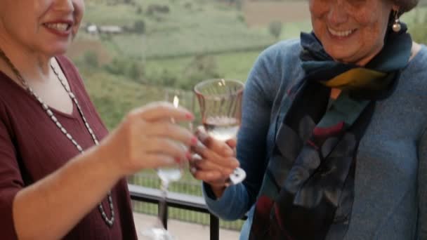 Drei aktive Seniorinnen stoßen draußen bei herrlichem Bergblick an — Stockvideo