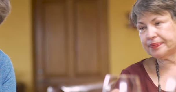 Dolly i en grupp av kvinna över 60 har en konversation tillsammans — Stockvideo