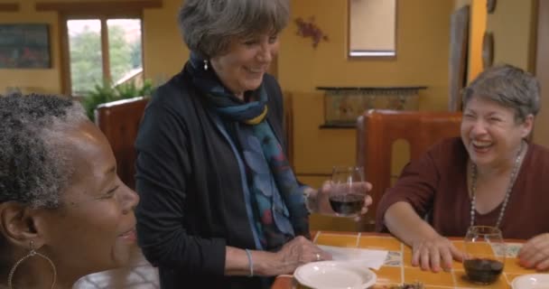 Mezcla de amigos raciales mayores de 50 años riendo celebrando y animando con vino tinto — Vídeos de Stock