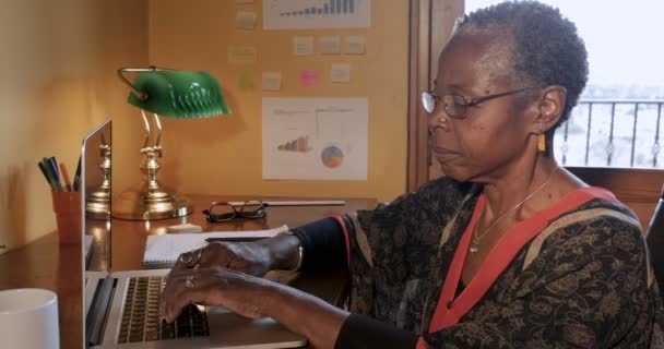 快乐成功的黑人妇女在她的家庭为基础的业务 — 图库视频影像
