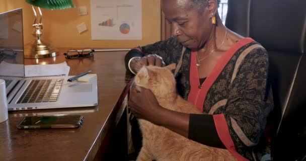 アフリカ系アメリカ人の女性が家庭で働く彼女の愛情深いオレンジ色の猫をかわいがること — ストック動画