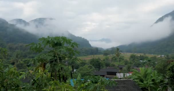 Caducidad de tiempo de niebla, niebla y nubes que se mueven en la selva y las montañas — Vídeo de stock