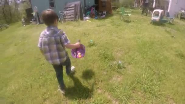 Маленький хлопчик біжить і знаходить великодні яйця і кладе їх у свій кошик — стокове відео