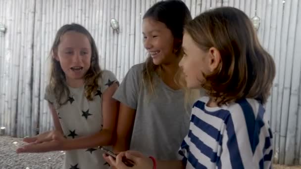 Grupo de tres niñas multiétnicas de 11 a 12 años que comparten tecnología — Vídeo de stock
