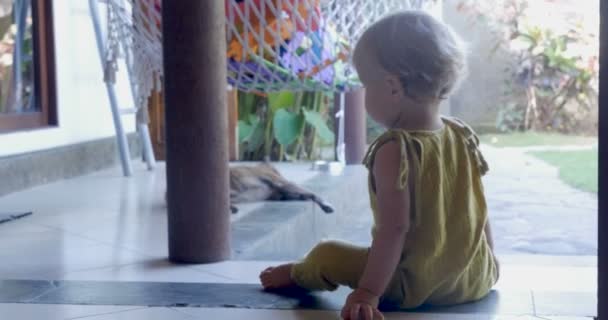 Adorable baby infant waving and sitting on a step alone — Stock Video