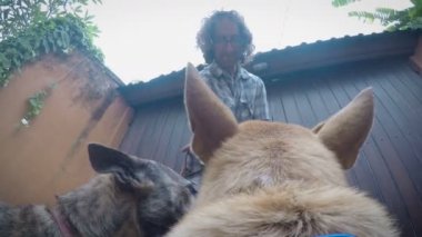 Pov bir köpek almayı gelen bu adam sahibinden bir yürüyüşten sonra davranır.