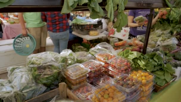 Αγοραστές που αγοράζουν φρέσκα οργανικά λαχανικά στο Σάββατο μια αγορά — Αρχείο Βίντεο