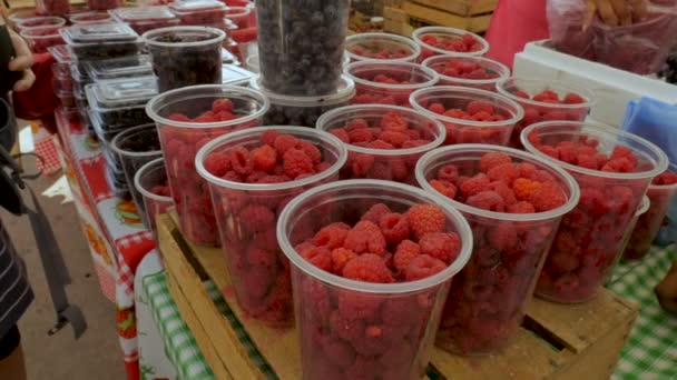 Frambuesas frescas, arándanos y moras para la venta en un mercado de agricultores — Vídeo de stock