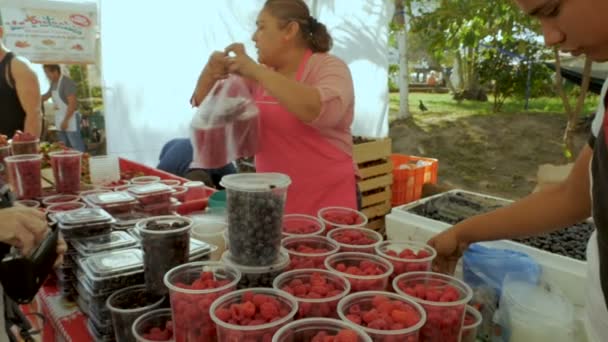 Mexikanischer Verkäufer nimmt Geld für frische Obstbeeren auf einem samstäglichen Markt — Stockvideo