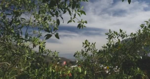 Vista a través de hojas que dan a un valle de montaña con edificios en la distancia — Vídeos de Stock