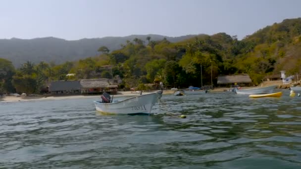 Two pelicans sitting on a boat anchored just off shore of a small tropical beach — Stock Video