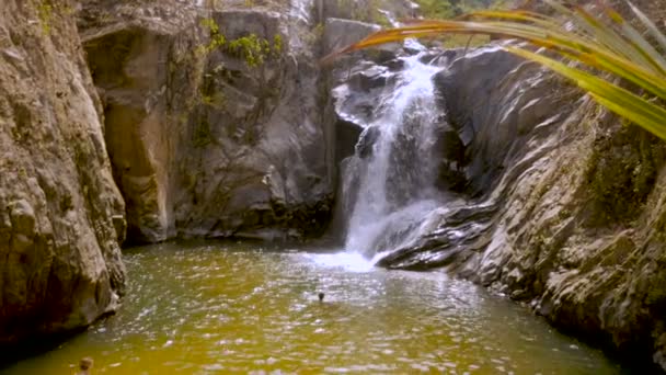 Плавання з риб у спокійній бухті поряд з водоспадом туристів — стокове відео
