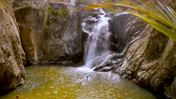 En man och kvinna turist som simmar i en simning hål bredvid ett vattenfall — Stockvideo