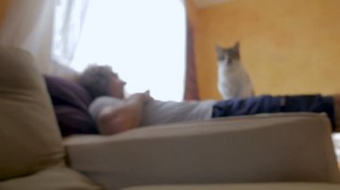 Bir kedi yalancılık aşağı bir adam üzerinden atlar ve ağır çekimde kameraya doğru yürüyor