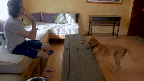 Мужчина, сидящий на диване, бросает угощения собаке, пытаясь поймать их в медленном темпе — стоковое видео
