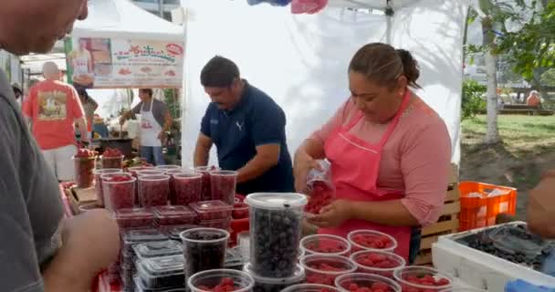 Ember vásárol a friss bogyós gyümölcsök: a szombat farmers' market Puerto Vallarta, Mexikó — Stock videók