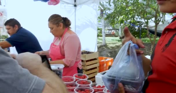 Человек, который платит за свежие ягоды на фермерском рынке в Пуэрто-Вальярта, Мексика — стоковое видео