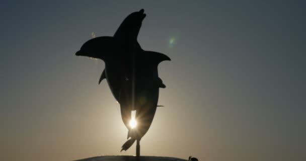 Sol brillando a través de la estatua de una fuente de delfines al atardecer o al amanecer — Vídeos de Stock