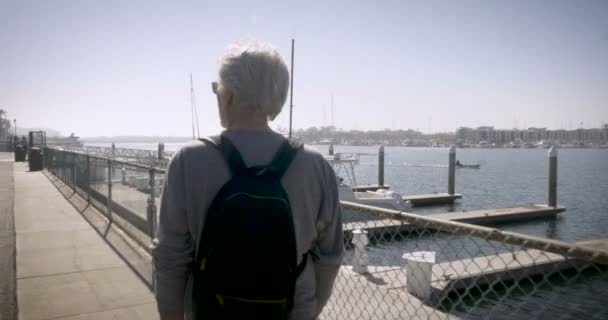 Beau vieillard marchant sur une marina avec des quais pendant la journée — Video