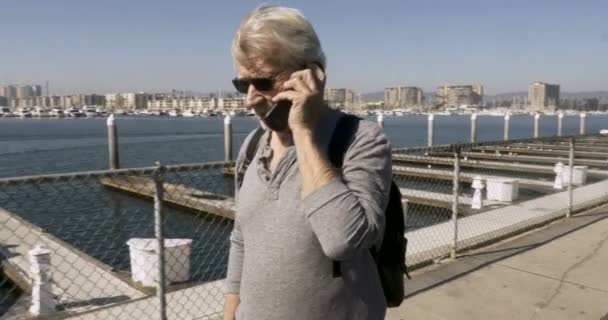 Knappe senior man praten op een telefoon van de Tik en wandelen in marina — Stockvideo
