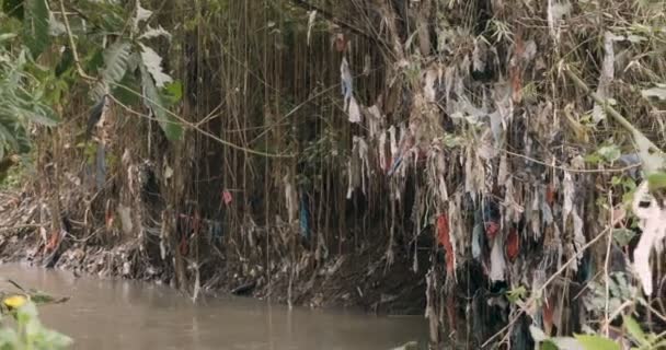 Velké množství plastových sáčků a koše, které jsou připojené k rostliny u řeky — Stock video