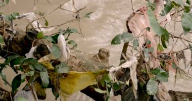 Ağaç dallarının yanında akan bir nehir bağlı plastik çöp kutusu