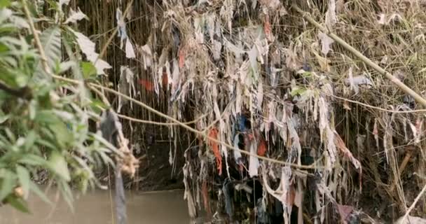 Пластиковый мусор, обернутый вокруг растений рядом с рекой — стоковое видео