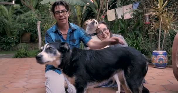 Две женщины, стоящие на коленях на земле со своими собаками — стоковое видео