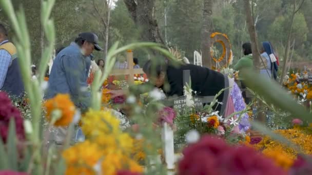 Mexicaanse gezinnen bereiden graf sites met bloemen tijdens dag van de doden — Stockvideo