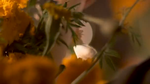 Ölülerin günü sırasında bir el, yanan mumlar ve kadife çiçeği çiçek kapat — Stok video