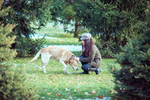 Mujer jugando con su perro golden retriever en el parque de verano — Foto de Stock
