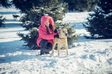 Kış açık oynayan bir köpek Labrador kadınla