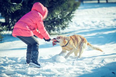 Kış açık oynayan bir köpek Labrador kadınla