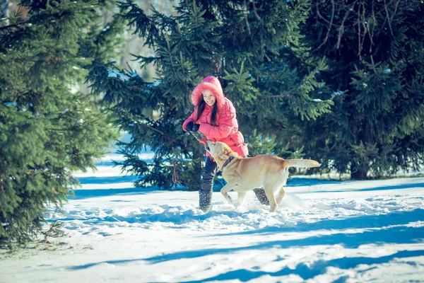 Kvinna med en hund Labrador spelar i vinter utomhus — Stockfoto