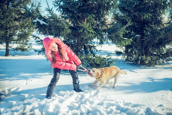 Žena s pes Labrador hraje v zimě venku — Stock fotografie