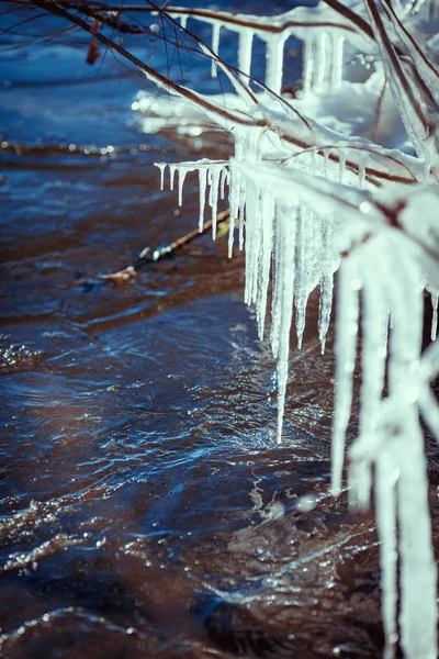 Sfondo invernale con ghiaccioli e spazio vuoto — Foto Stock