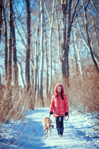 Vrouw met een Labrador van de hond in de winter buiten spelen — Stockfoto