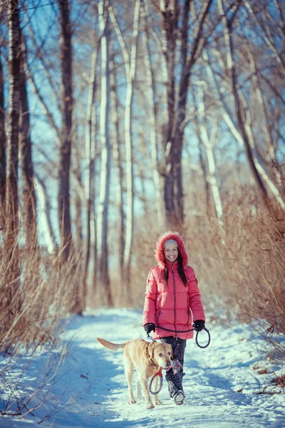 Γυναίκα με ένα σκυλί λαμπραντόρ που παίζουν σε εξωτερικούς χώρους χειμώνα — Φωτογραφία Αρχείου