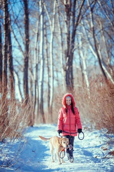 女人与狗拉布拉多犬在冬天的户外玩 — 图库照片