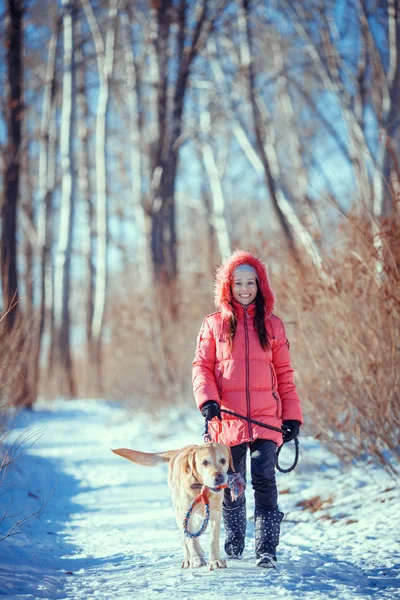 Vrouw met een Labrador van de hond in de winter buiten spelen — Stockfoto