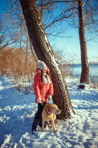 Vrouw met een Labrador van de hond in de winter buiten spelen — Stockfoto