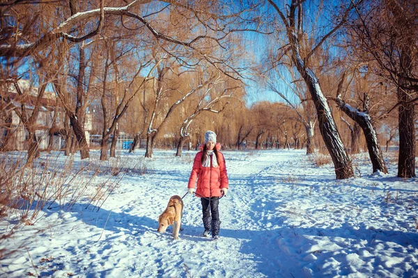 Donna con un cane Labrador giocare in inverno all'aperto — Foto Stock
