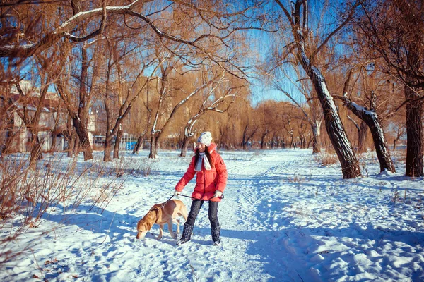 Donna con un cane Labrador giocare in inverno all'aperto — Foto Stock