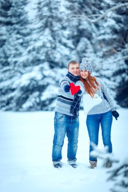 Kış Sevgililer Çift buz peyzaj, kar