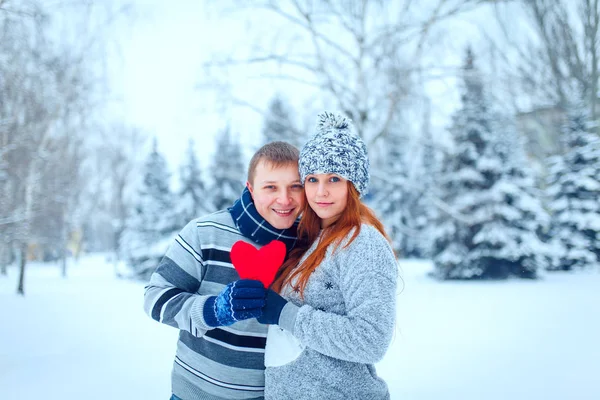 Kış Sevgililer Çift buz peyzaj, kar