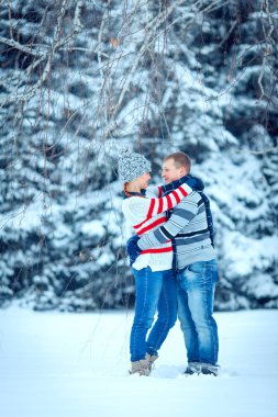 Kış Sevgililer Çift buz peyzaj, kar